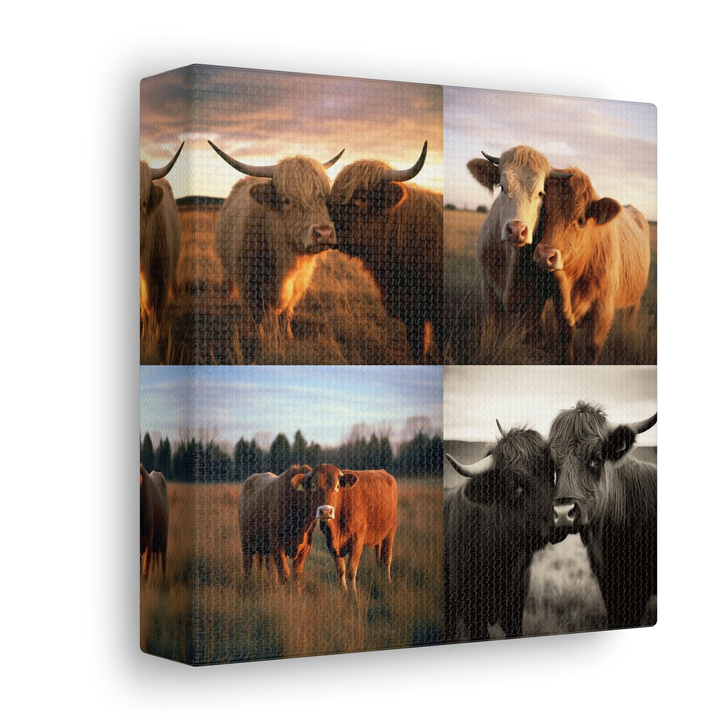 Canvas Gallery Wraps Cow Love 4 Pack