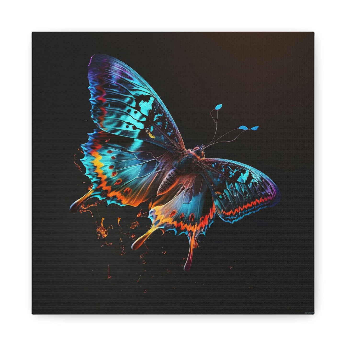 Butterfly florescent glow