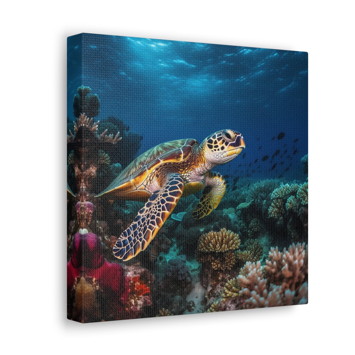 Sea Turtle Reef 1