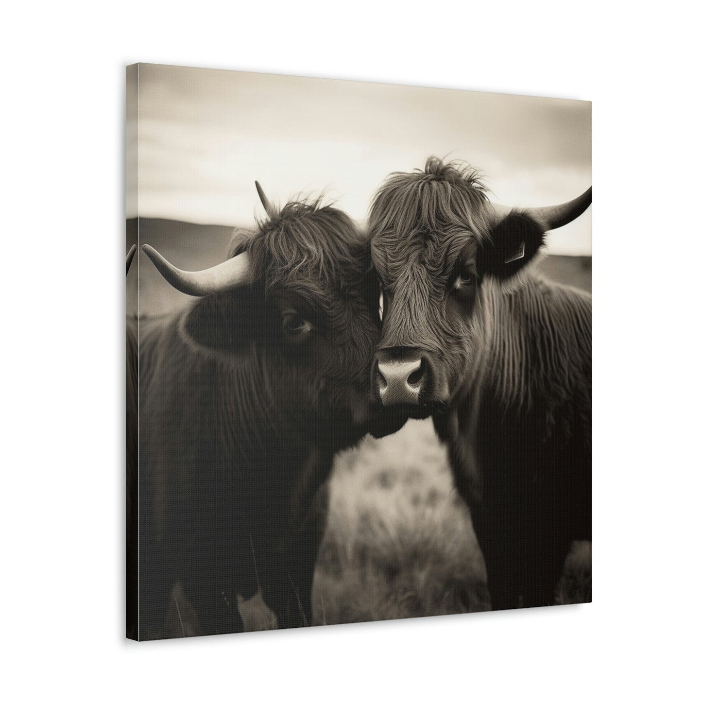 Canvas Gallery Wraps Cow Love 4