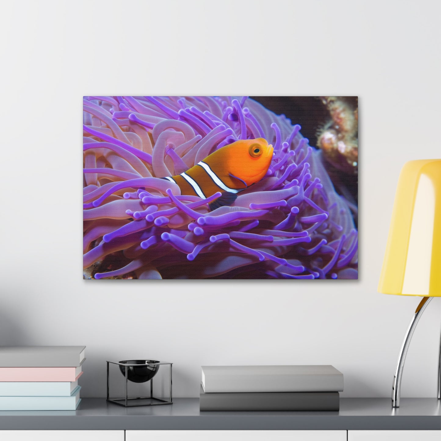 Canvas Gallery Wraps Anemone Clown 3