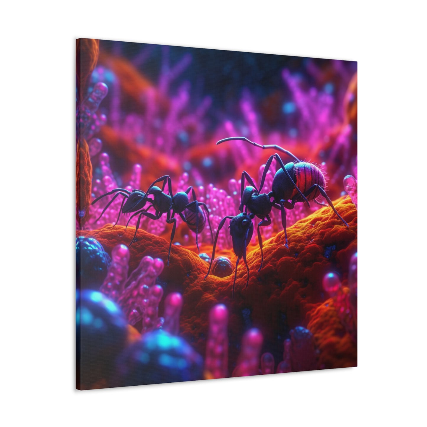 Canvas Gallery Wraps Ants Home 4