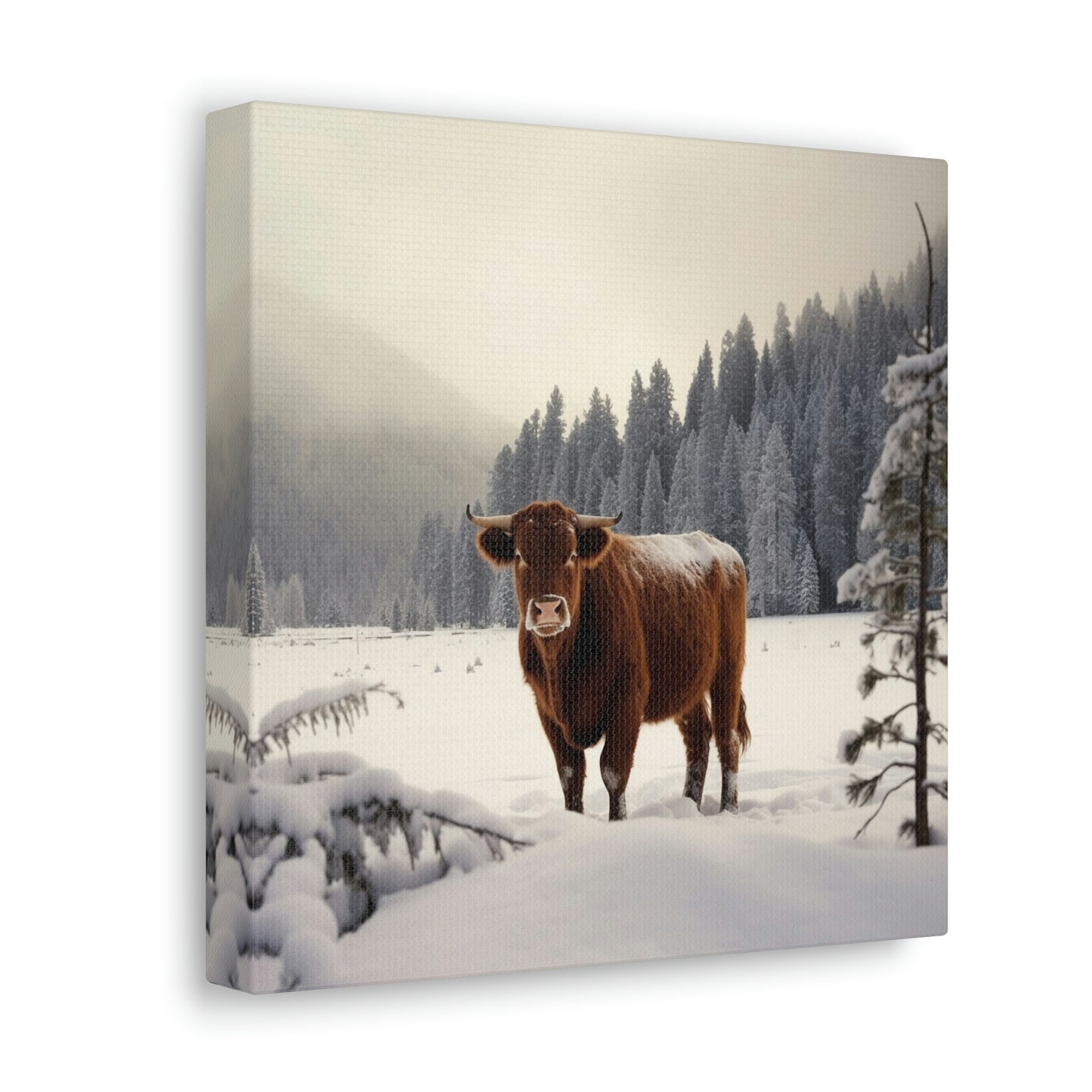 Canvas Gallery Wraps Cow Snow 3