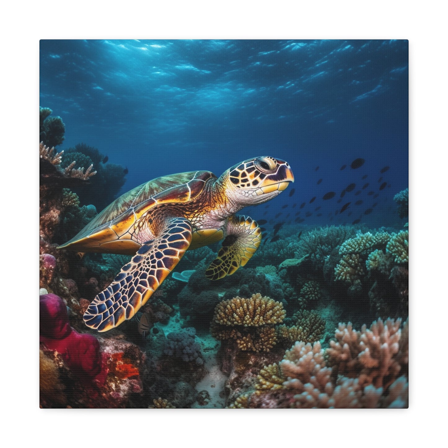 Sea Turtle Reef 1