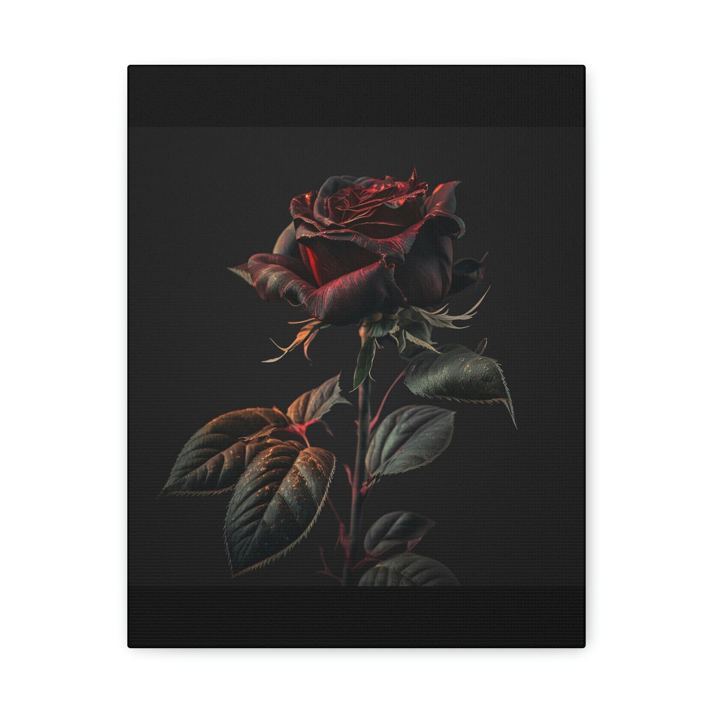 Red Rose Dark 4