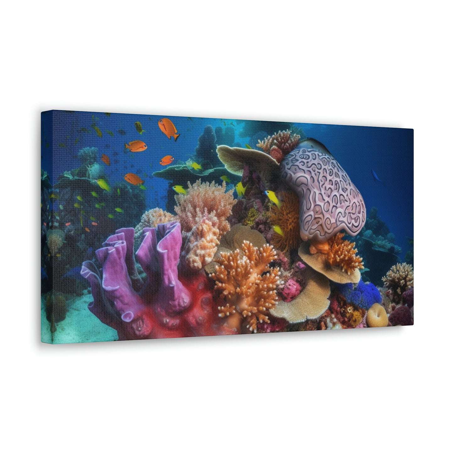 Coral Reef 2