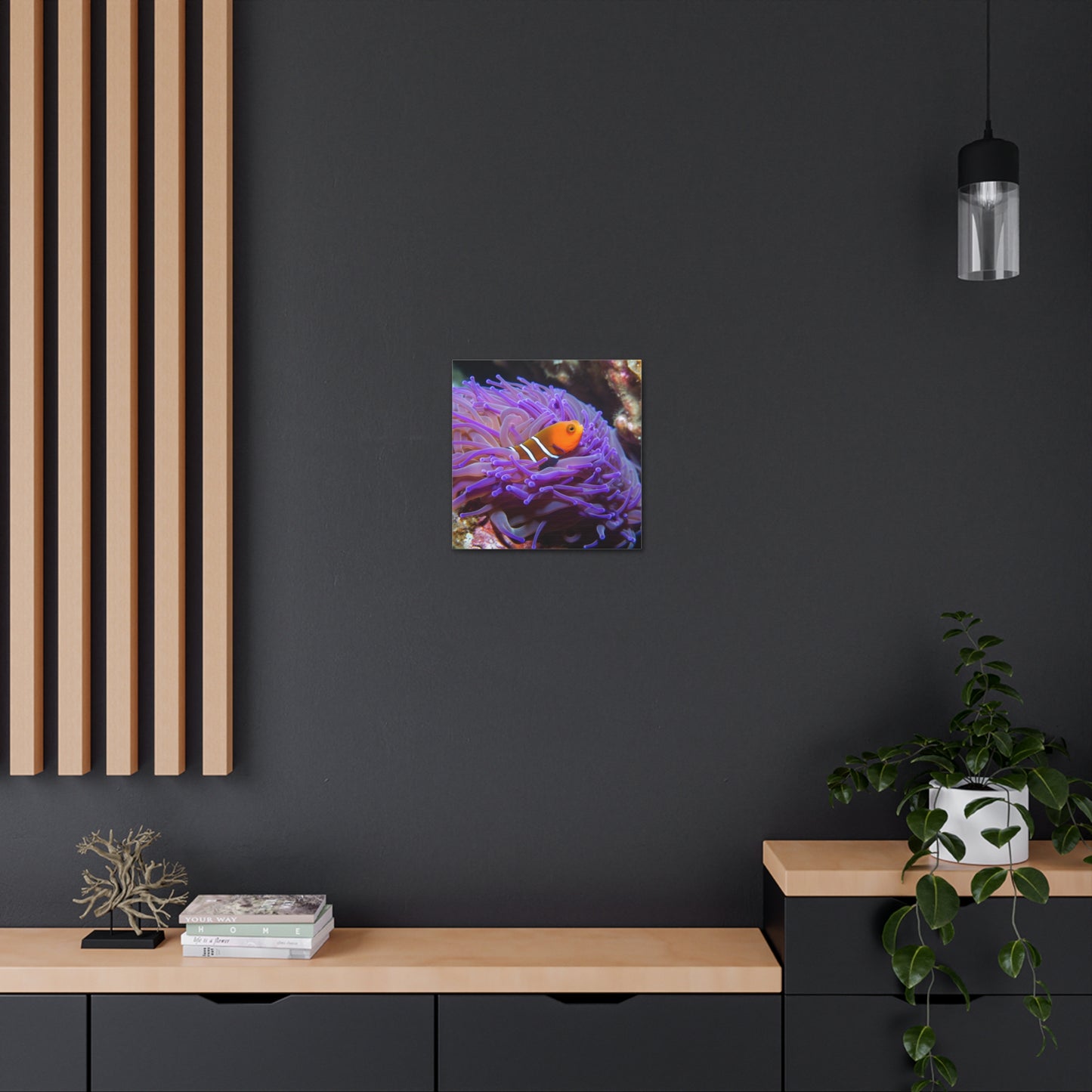 Canvas Gallery Wraps Anemone Clown 3