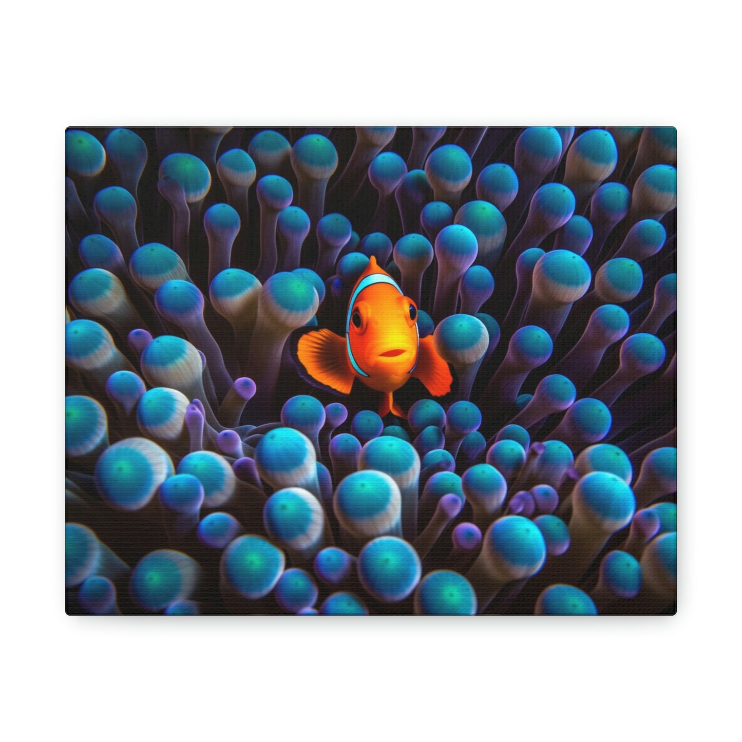 Canvas Gallery Wraps Clown Fish 1