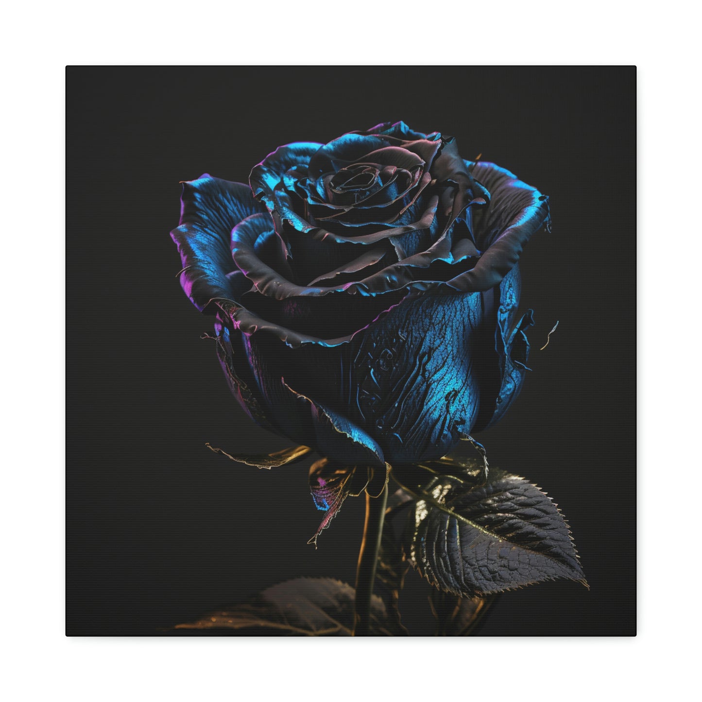 Black Blue Rose 1