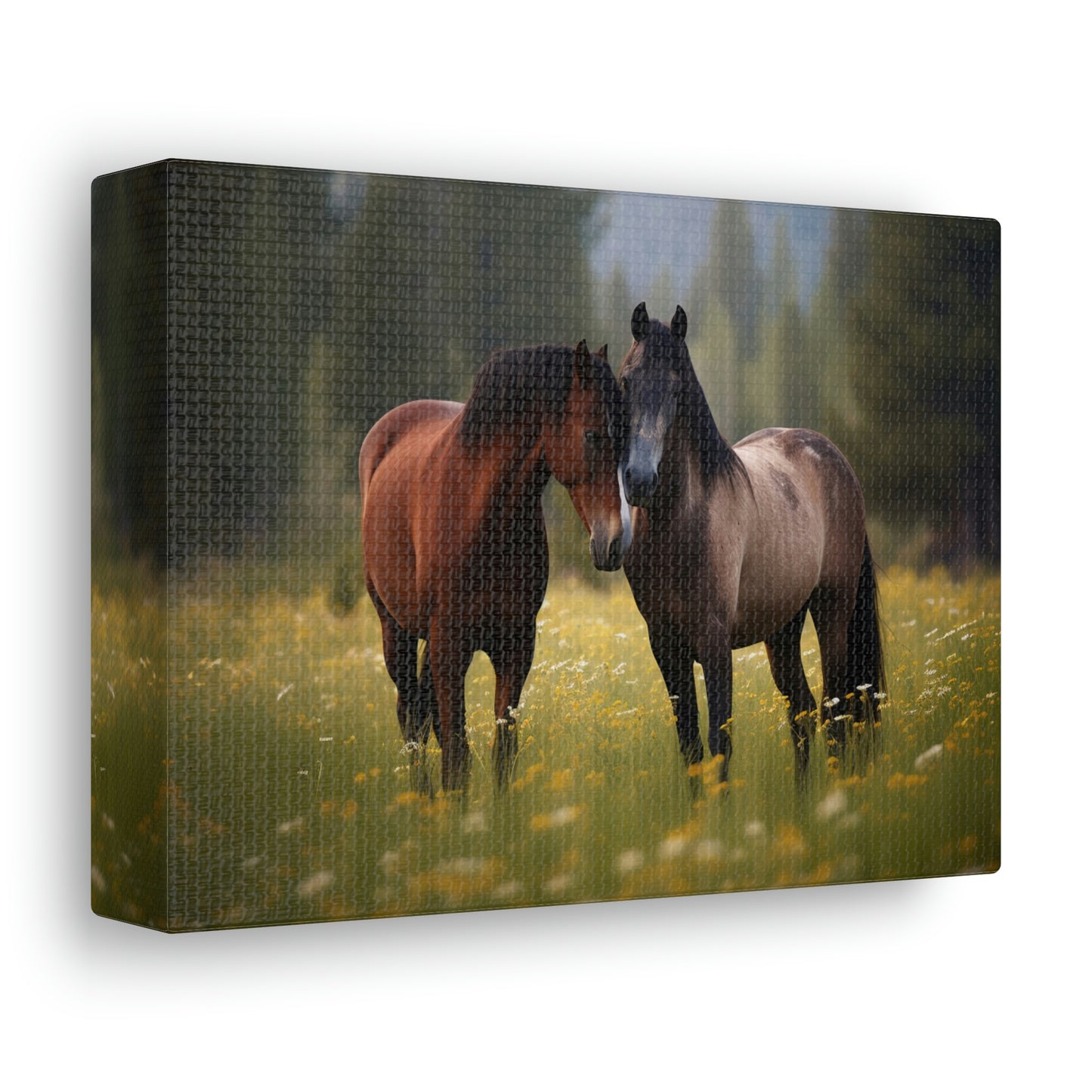 Canvas Gallery Wraps Horse Buddy 1