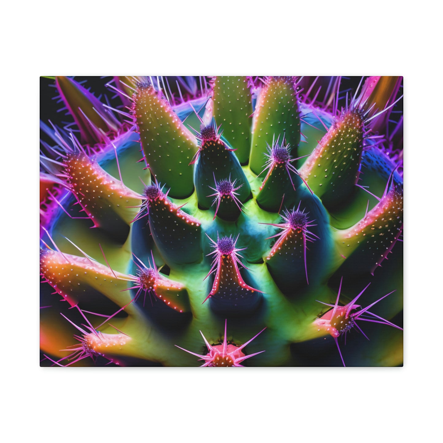 Macro Cactus 5