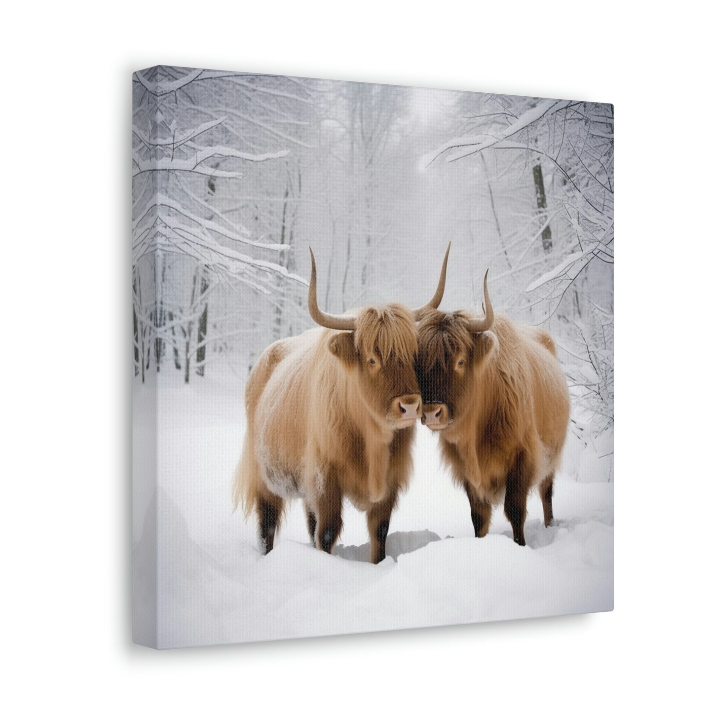 Canvas Gallery Wraps Long Haired Cow snow 1