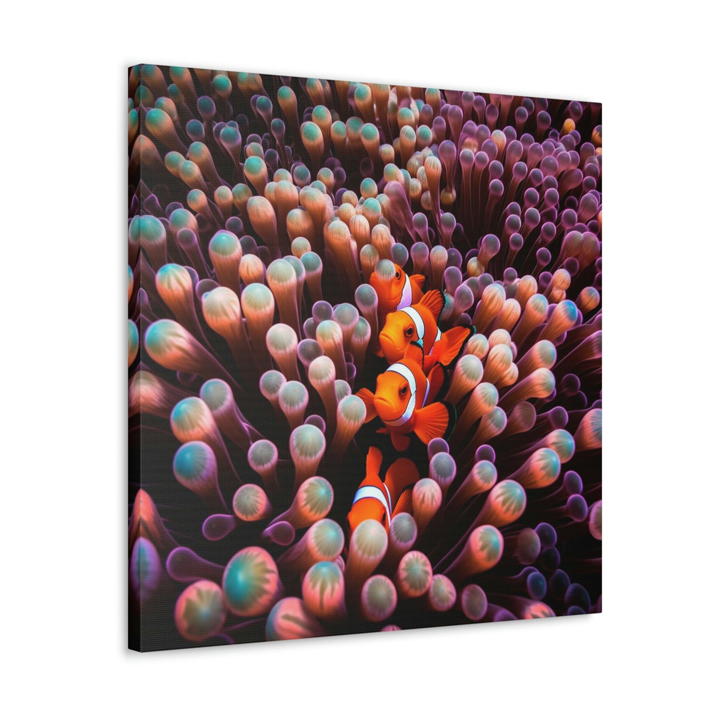 Canvas Gallery Wraps Clown Fish 3