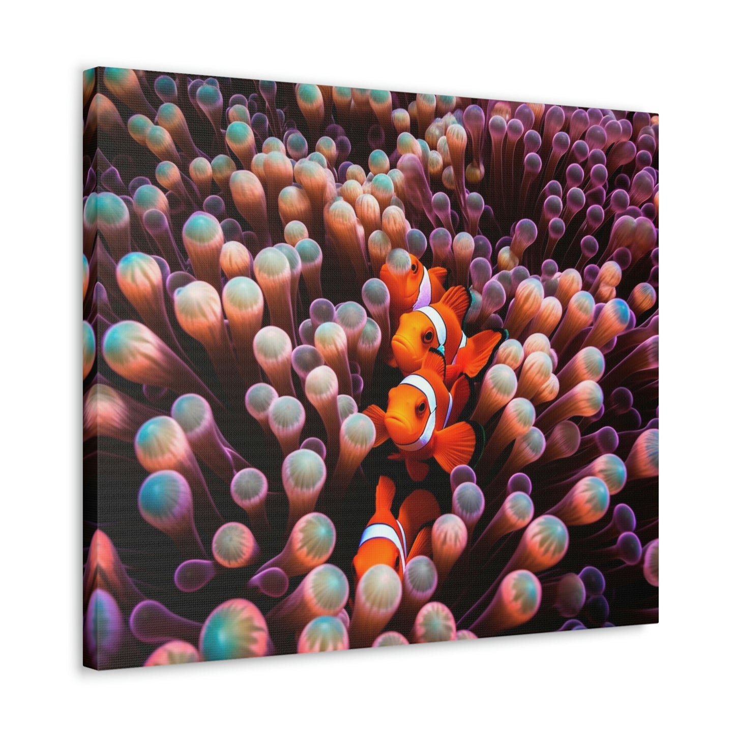 Canvas Gallery Wraps Clown Fish 3