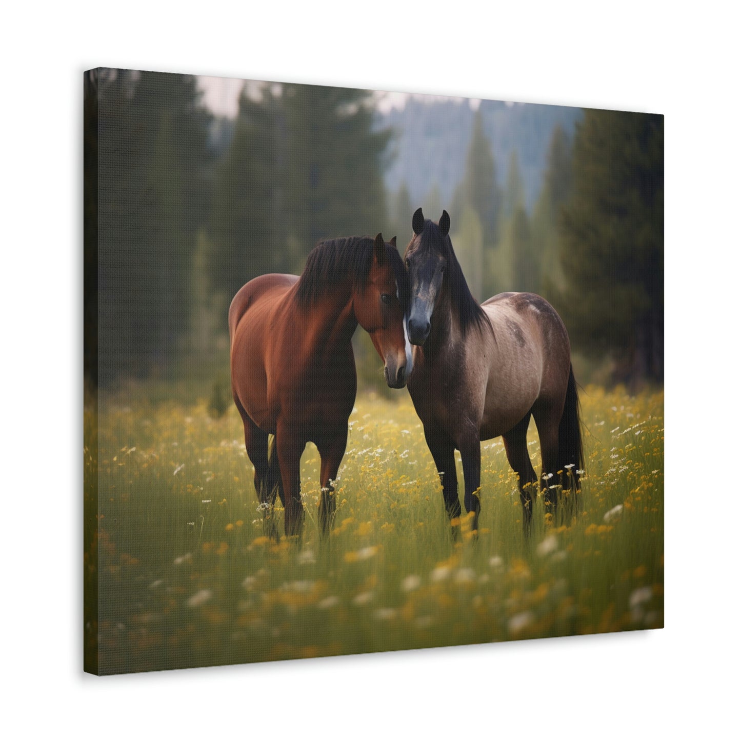 Canvas Gallery Wraps Horse Buddy 1