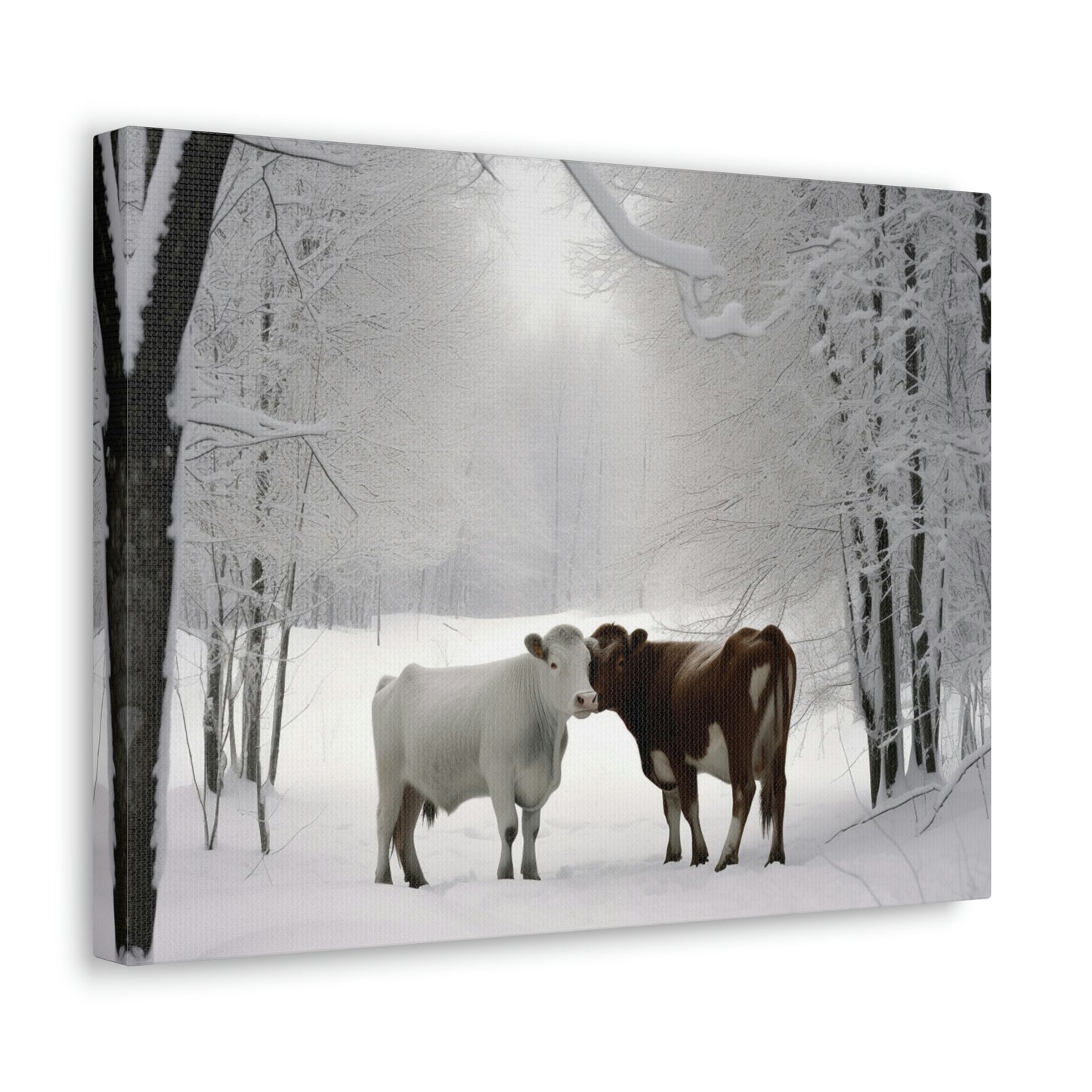 Canvas Gallery Wraps Long Haired Cow snow 4