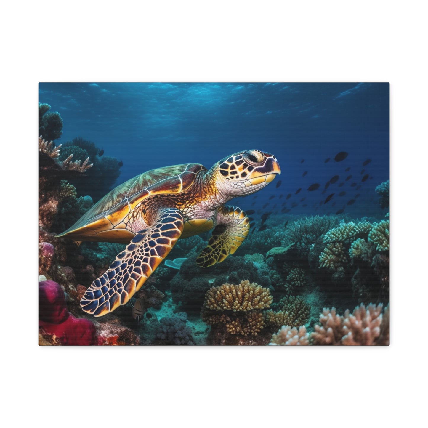 Sea Turtle Reef 1