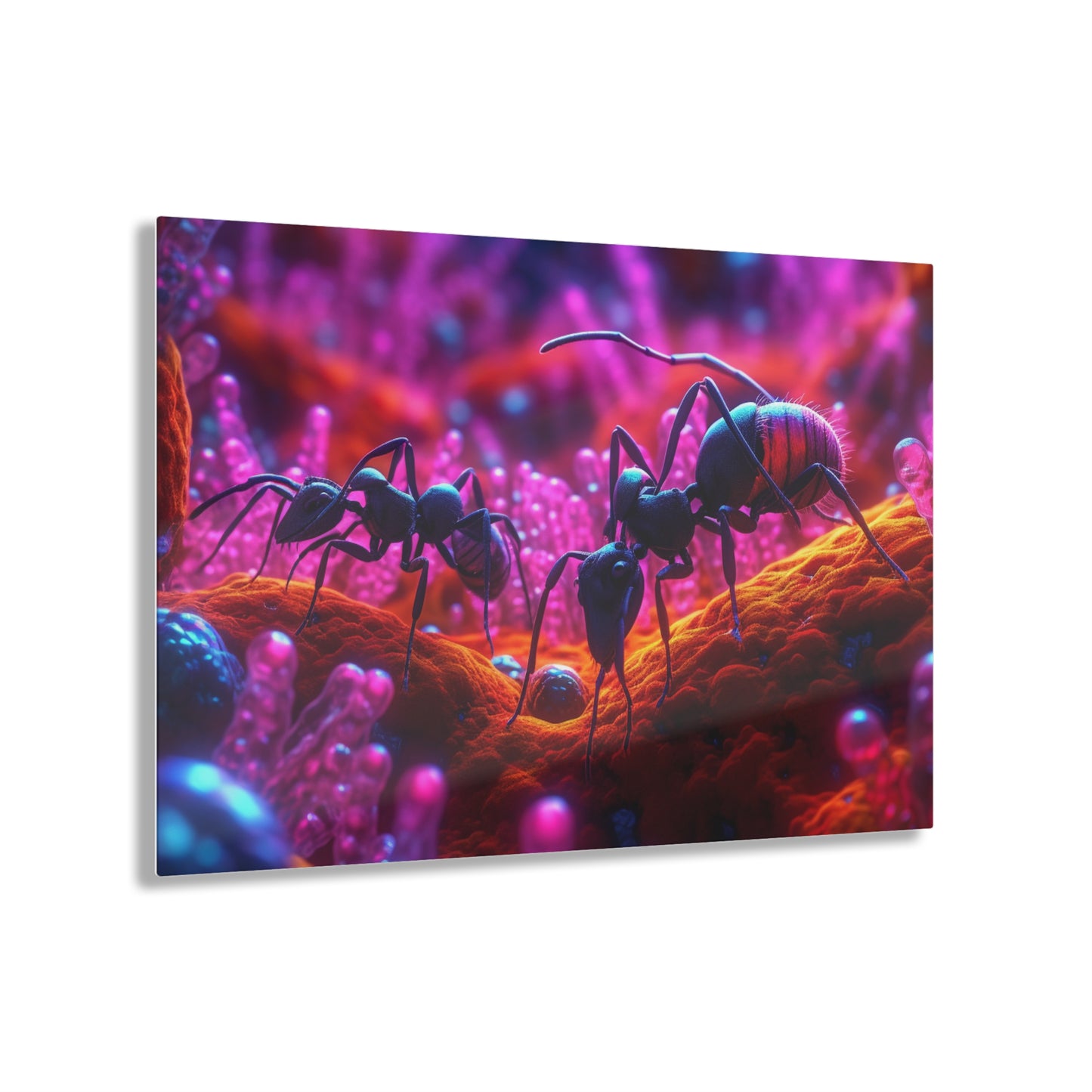 Acrylic Prints Ants Home 4