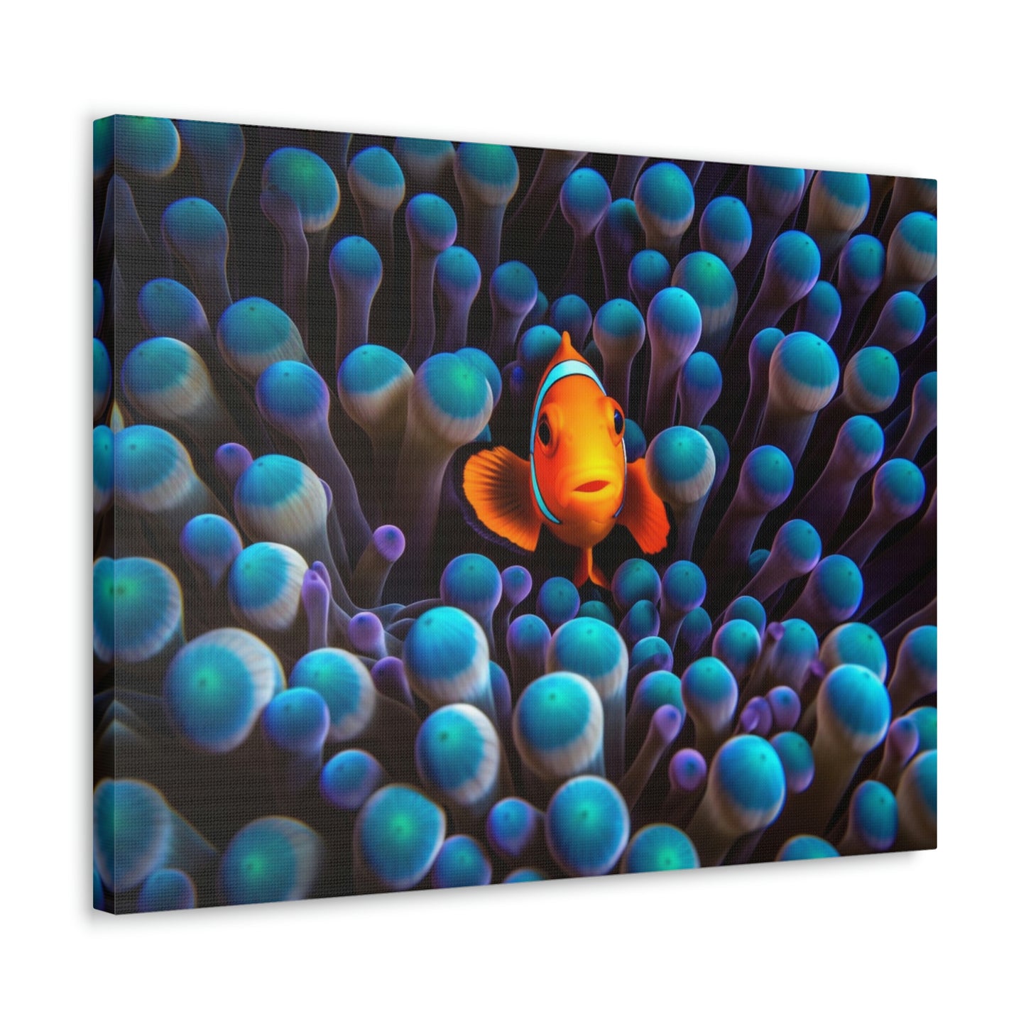 Canvas Gallery Wraps Clown Fish 1