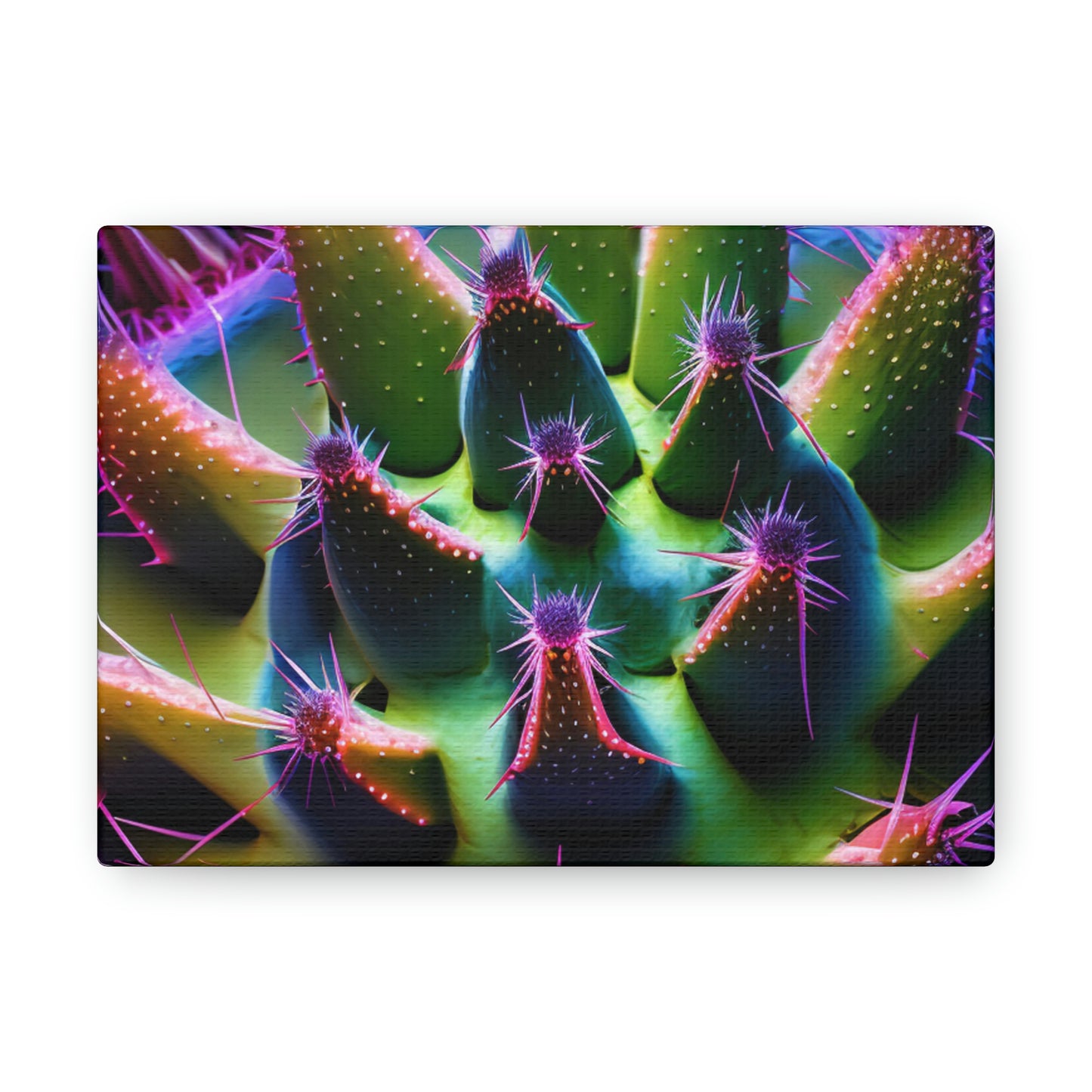 Macro Cactus 5