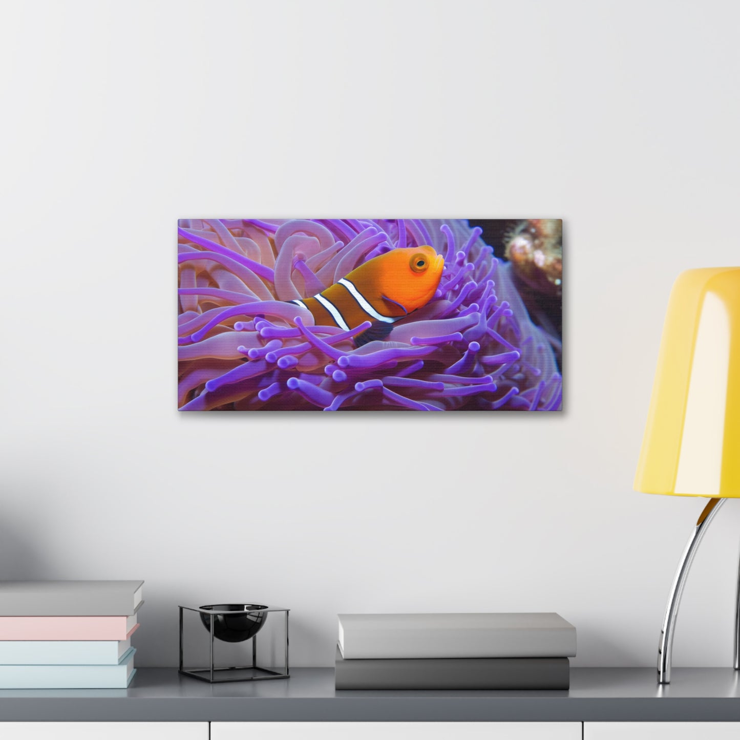 Canvas Gallery Wraps Anemone Clown 3