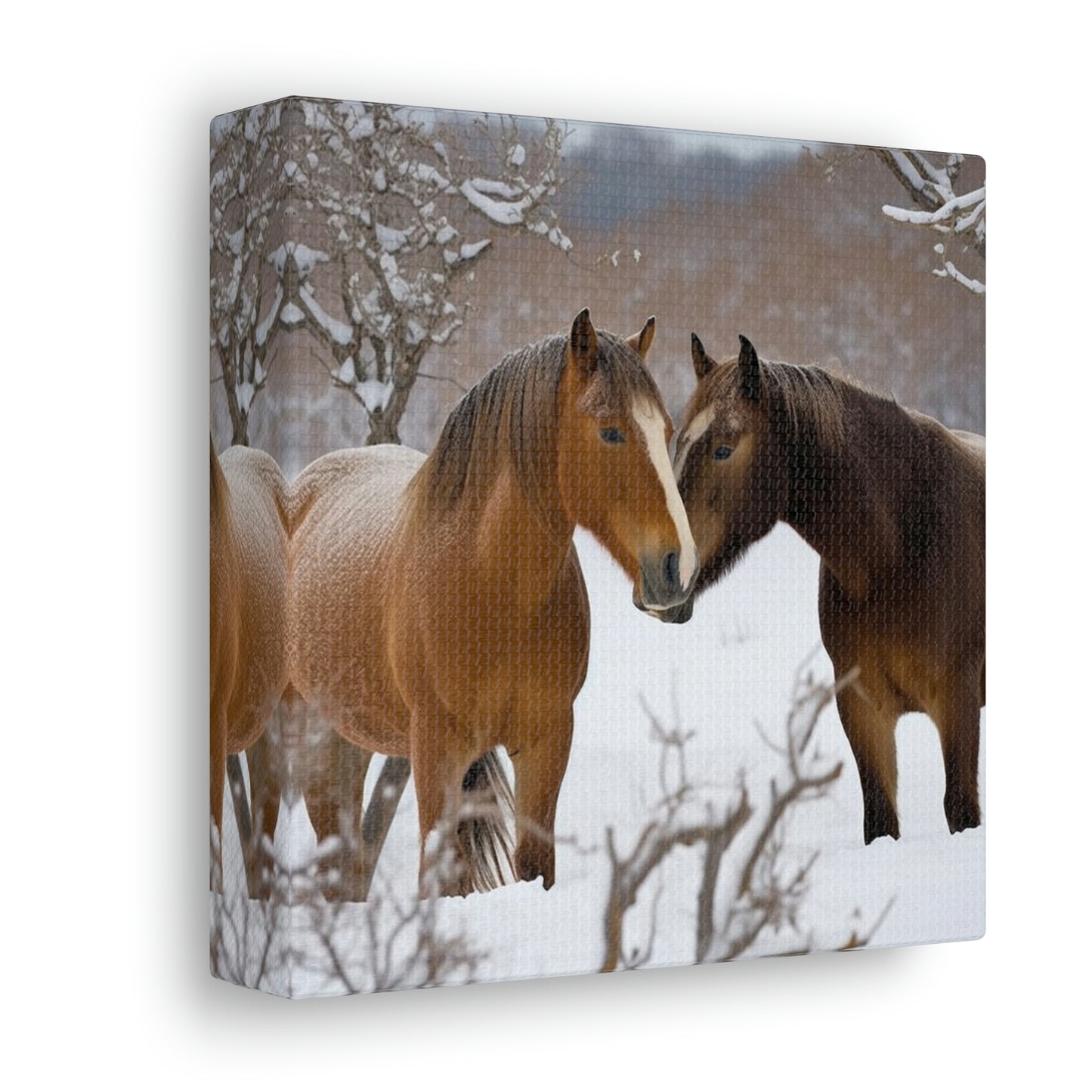 Canvas Gallery Wraps Horse Kiss 3