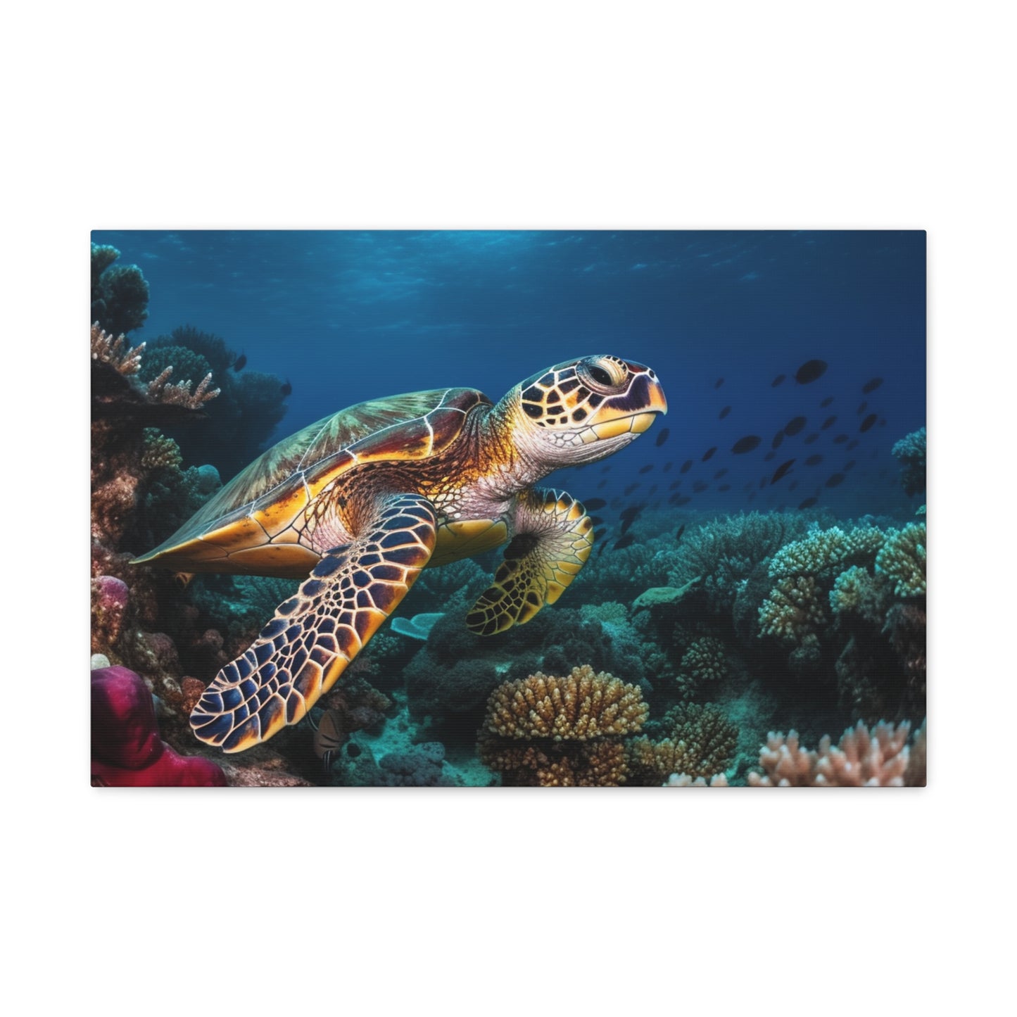 Sea Turtle Reef 1