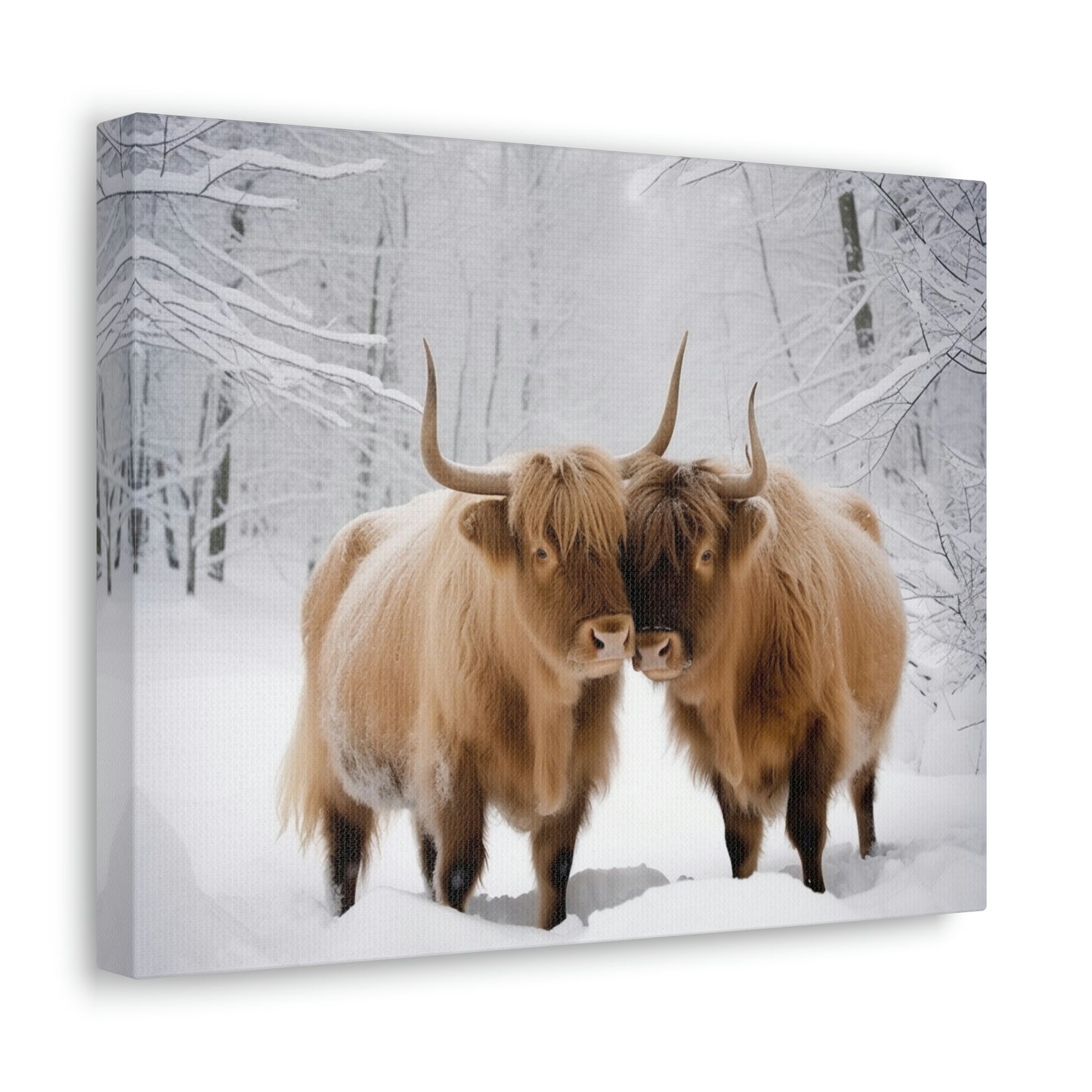 Canvas Gallery Wraps Long Haired Cow snow 1