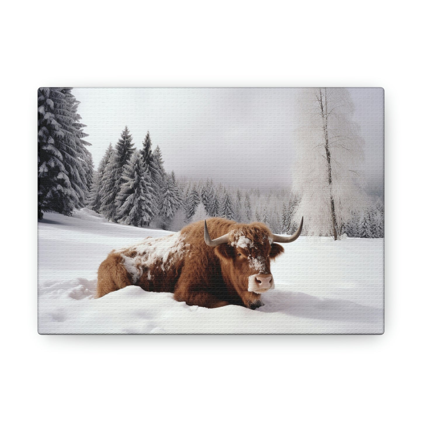 Canvas Gallery Wraps Cow Snow 2