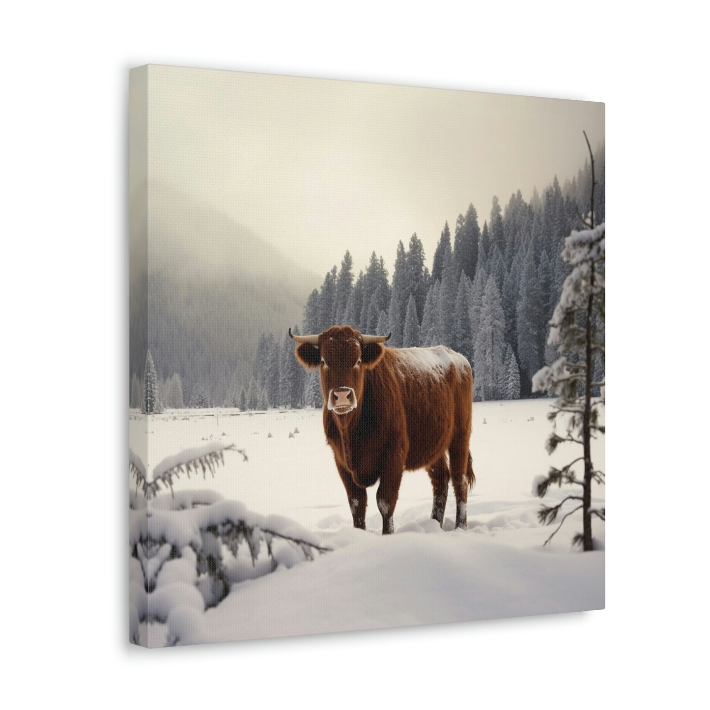 Canvas Gallery Wraps Cow Snow 3