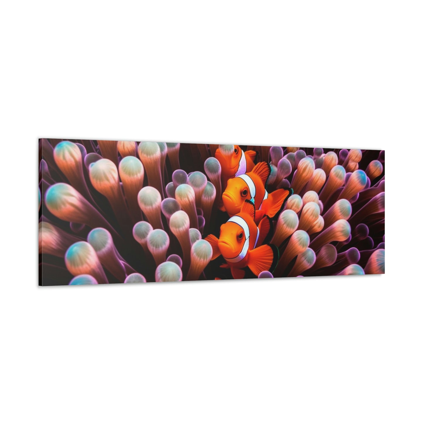 Canvas Gallery Wraps Clown Fish 3