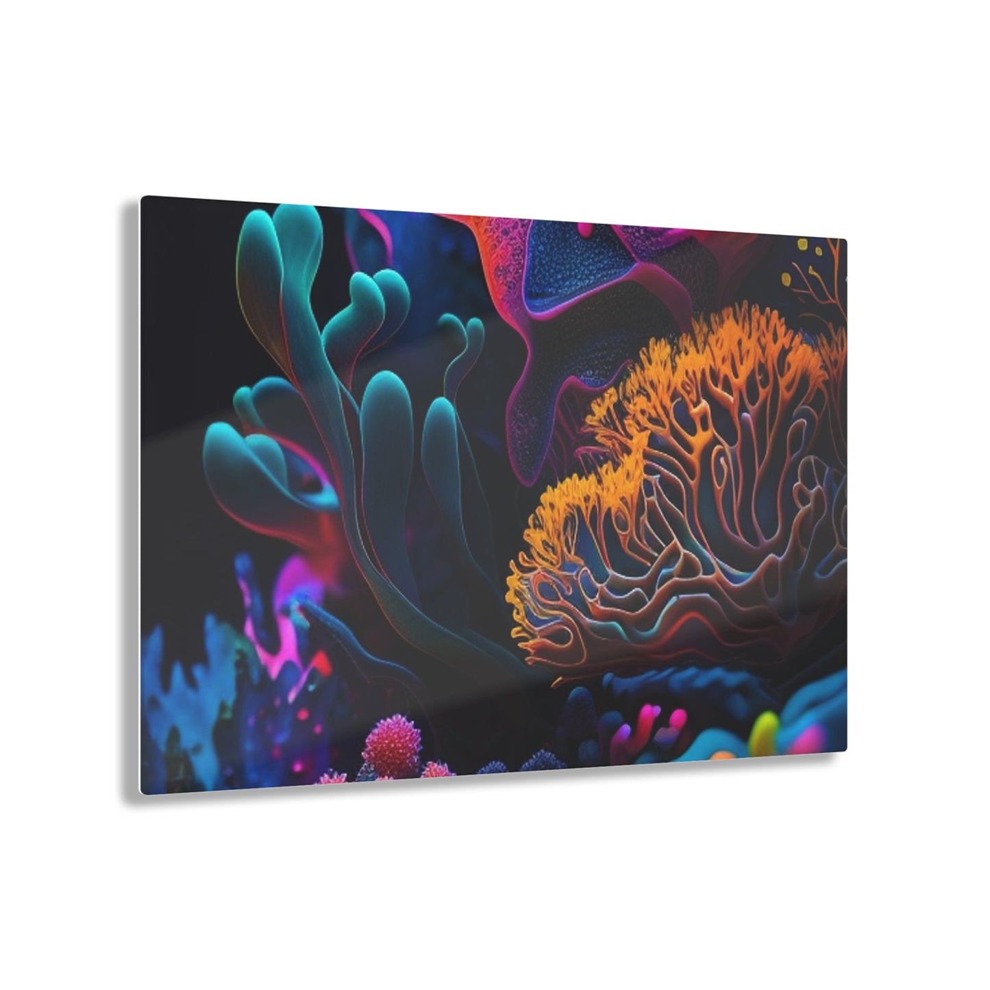 Acrylic Prints Macro Coral Reef 2