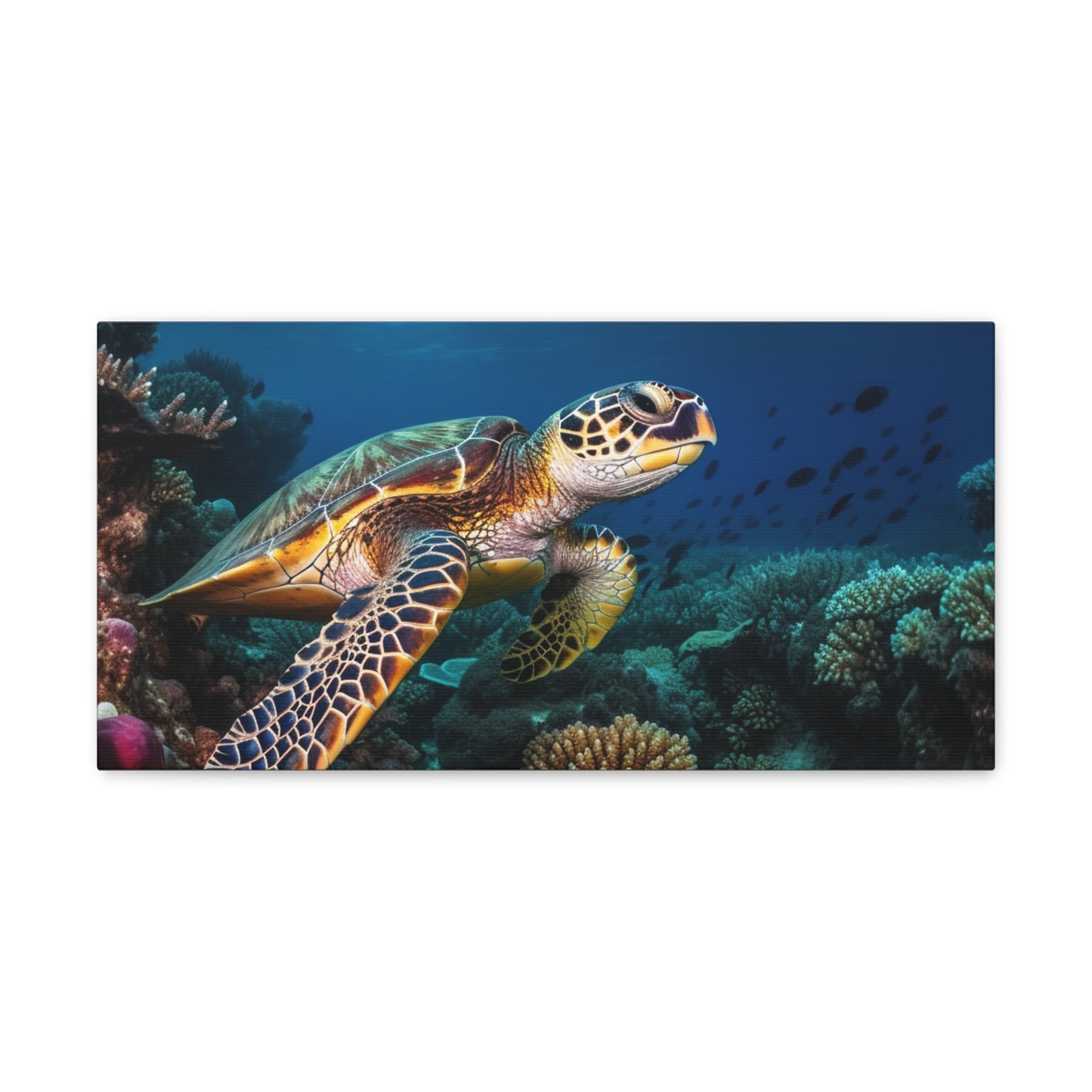 Sea Turtle Reef 1