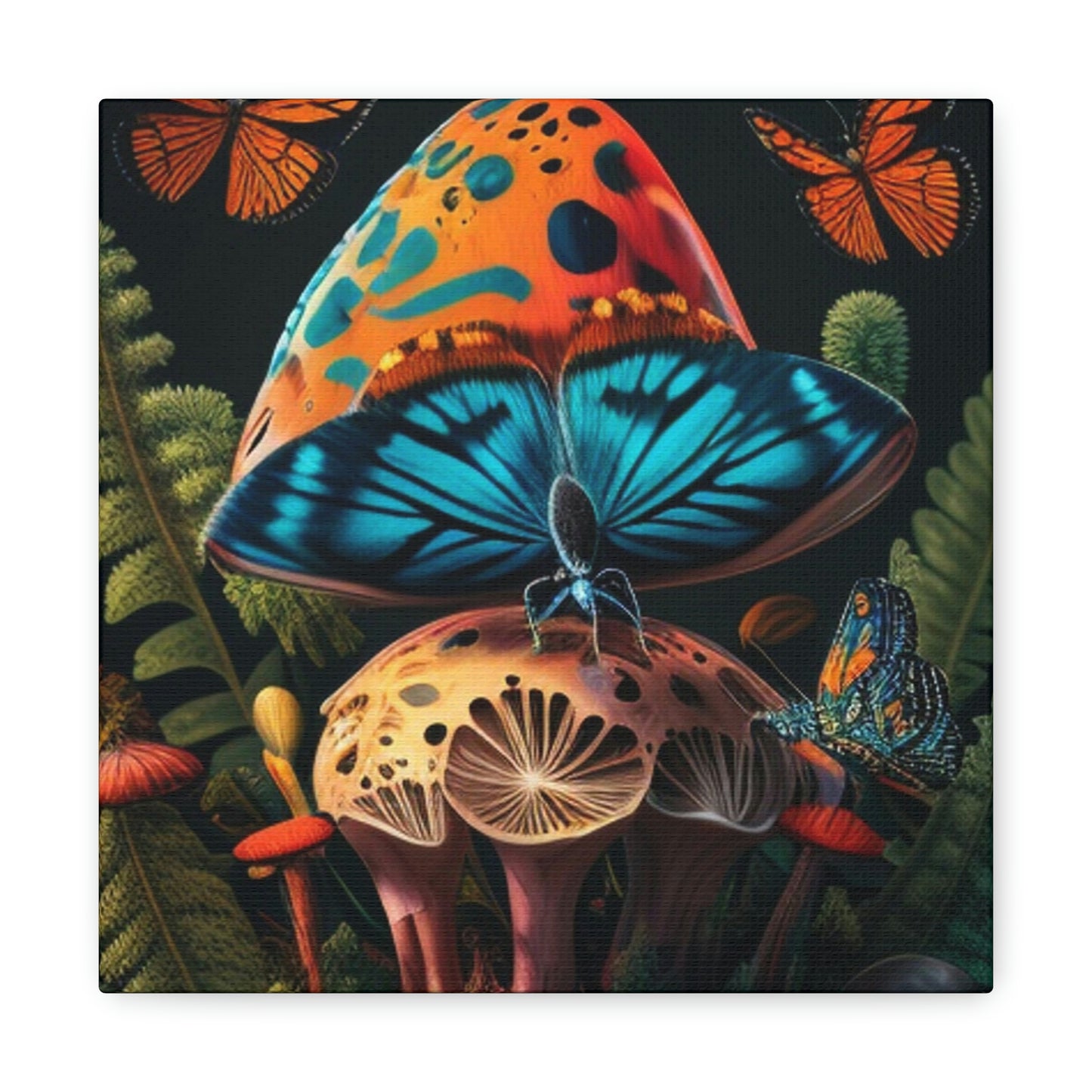 Butterfly mushroom 4