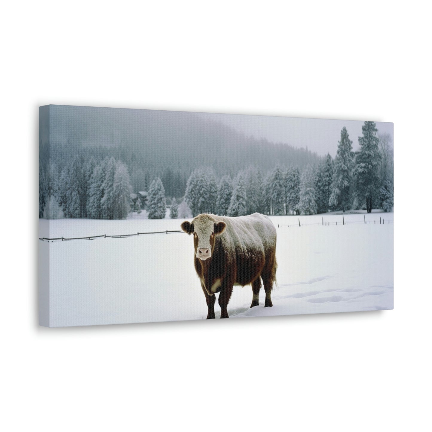 Canvas Gallery Wraps  Cow Snow 1