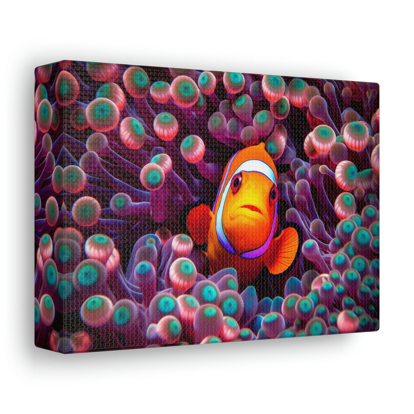 Canvas Gallery Wraps Clown Fish 4