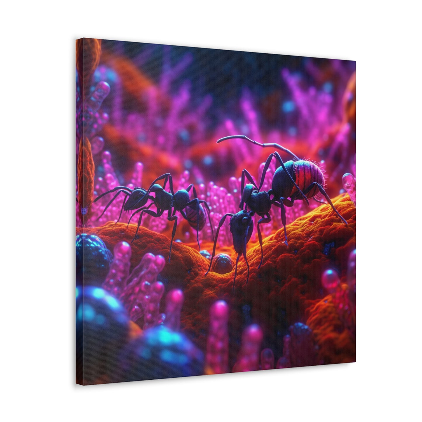 Canvas Gallery Wraps Ants Home 4