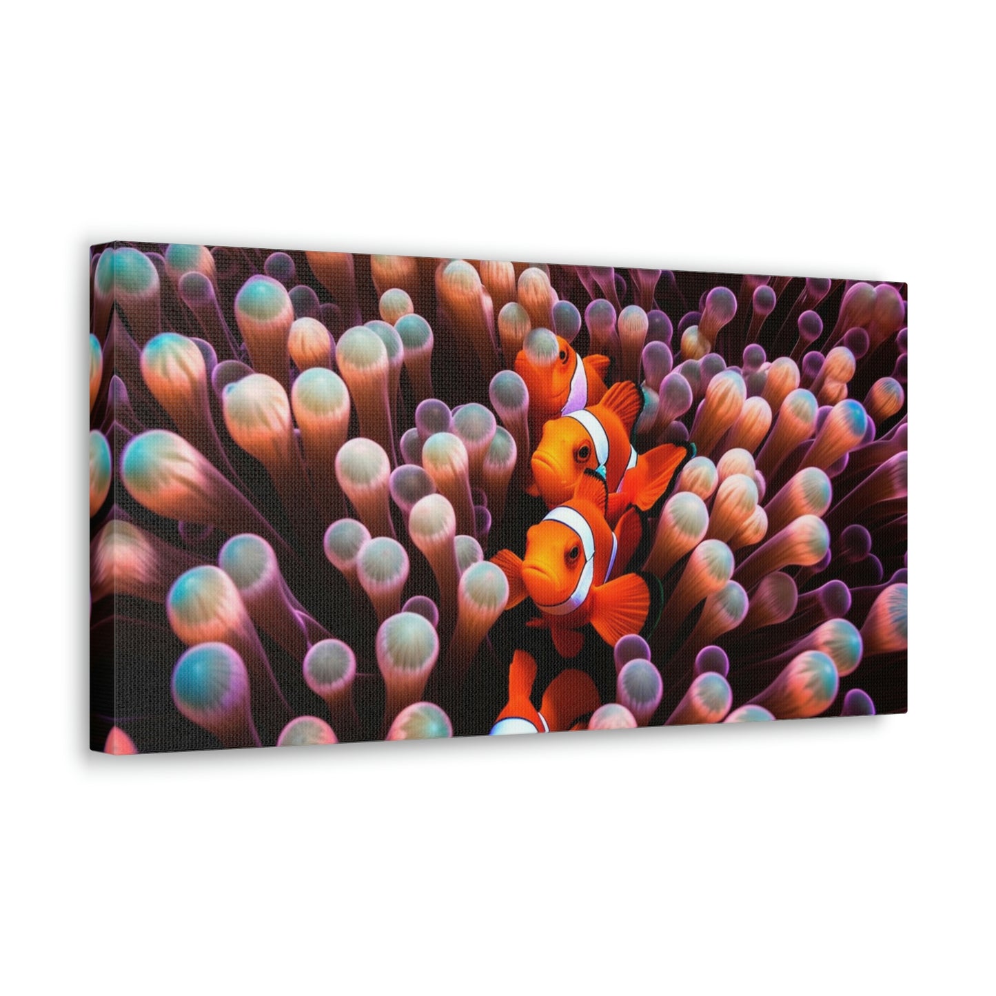 Canvas Gallery Wraps Clown Fish 3