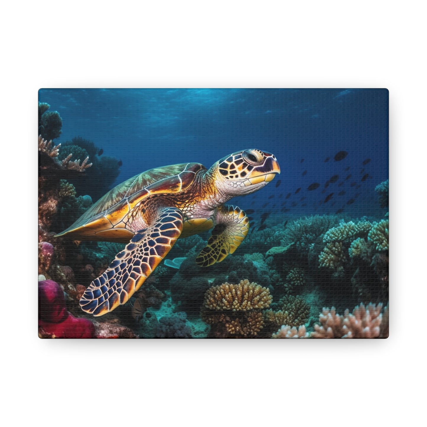 Sea Turtle Reef 1