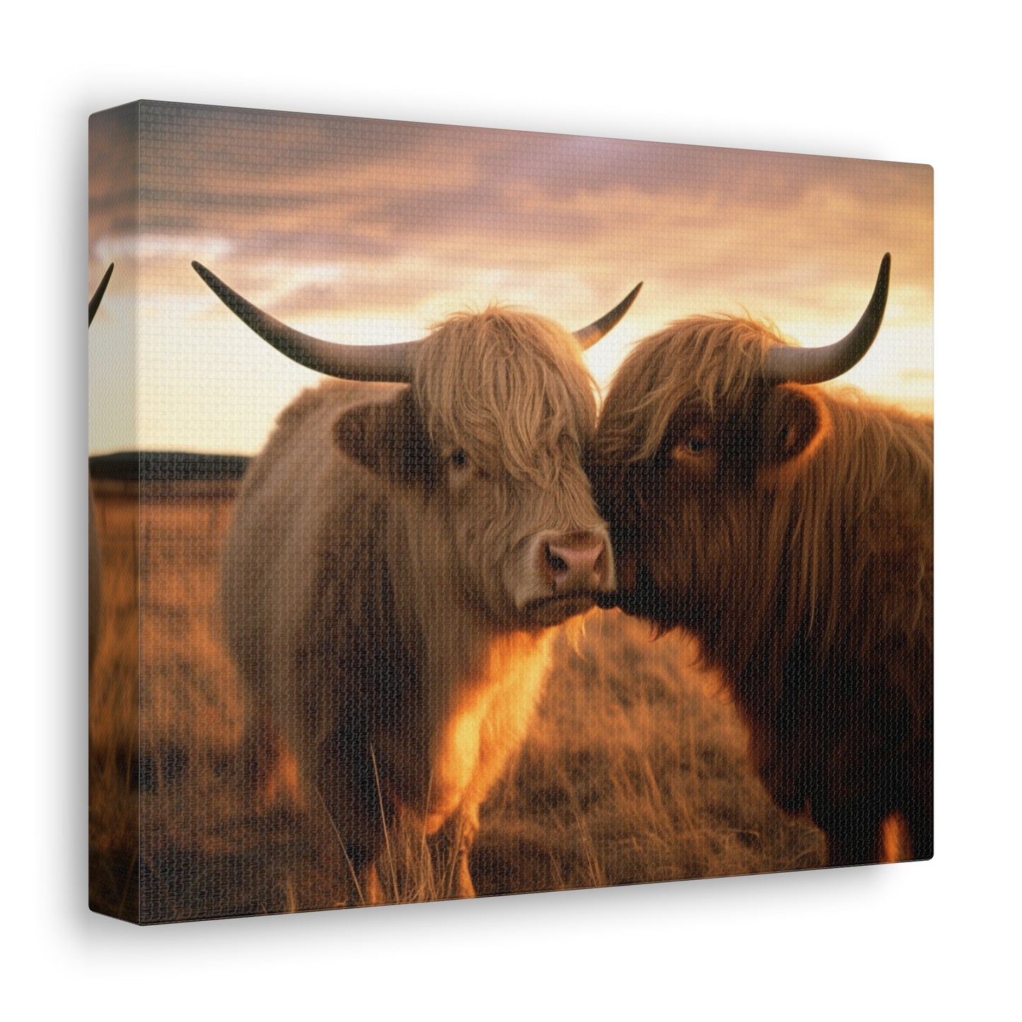 Canvas Gallery Wraps Cow Love 1