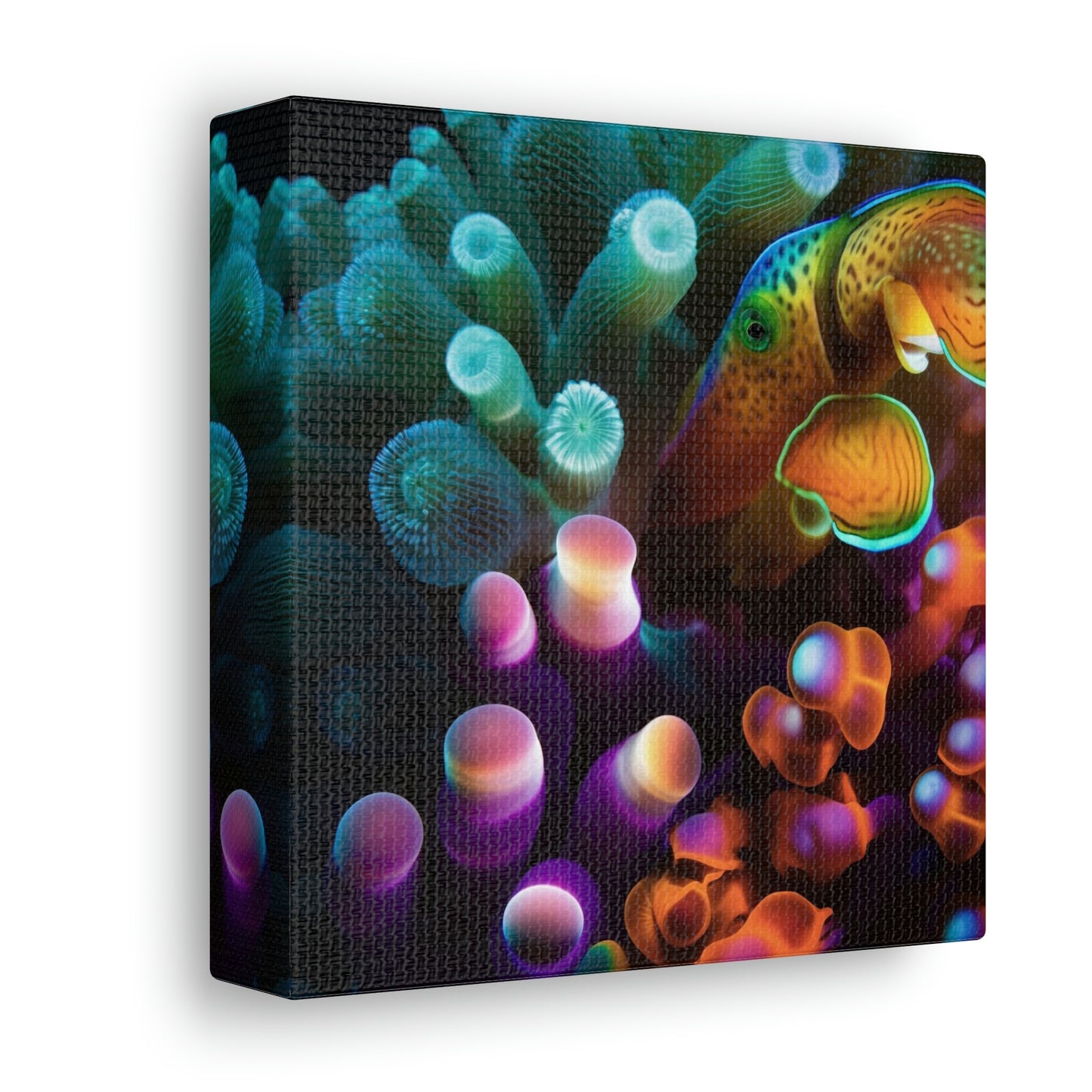 Canvas Gallery Wraps Ocean Anemone 2