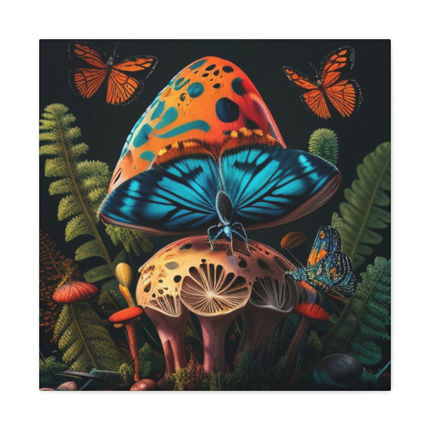 Butterfly mushroom 4