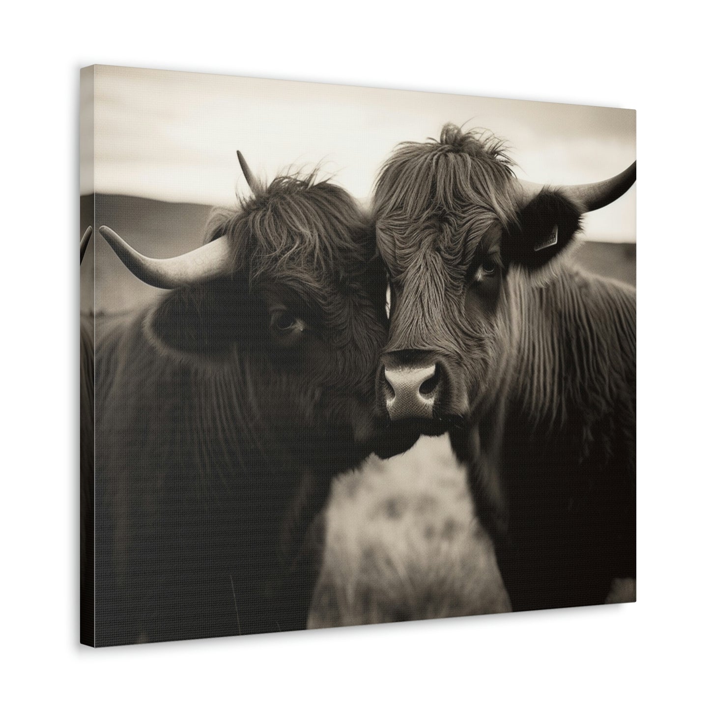 Canvas Gallery Wraps Cow Love 4