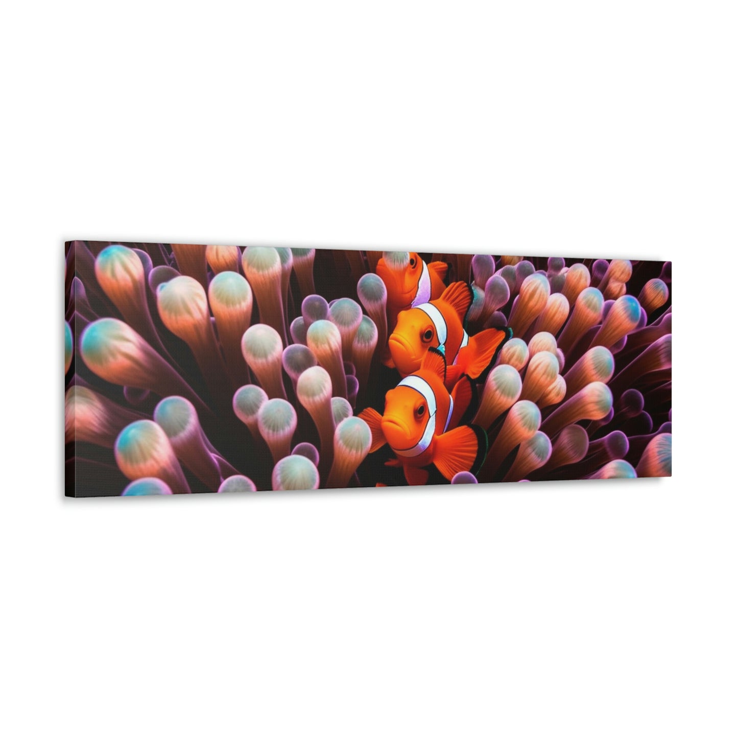 Canvas Gallery Wraps Clown Fish 3