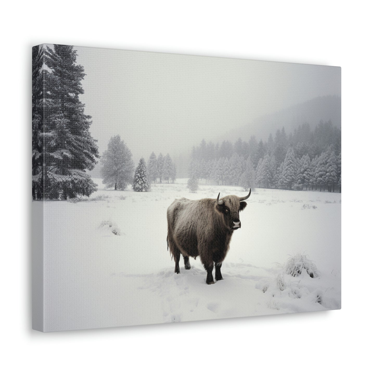 Canvas Gallery Wraps Cow Snow 4