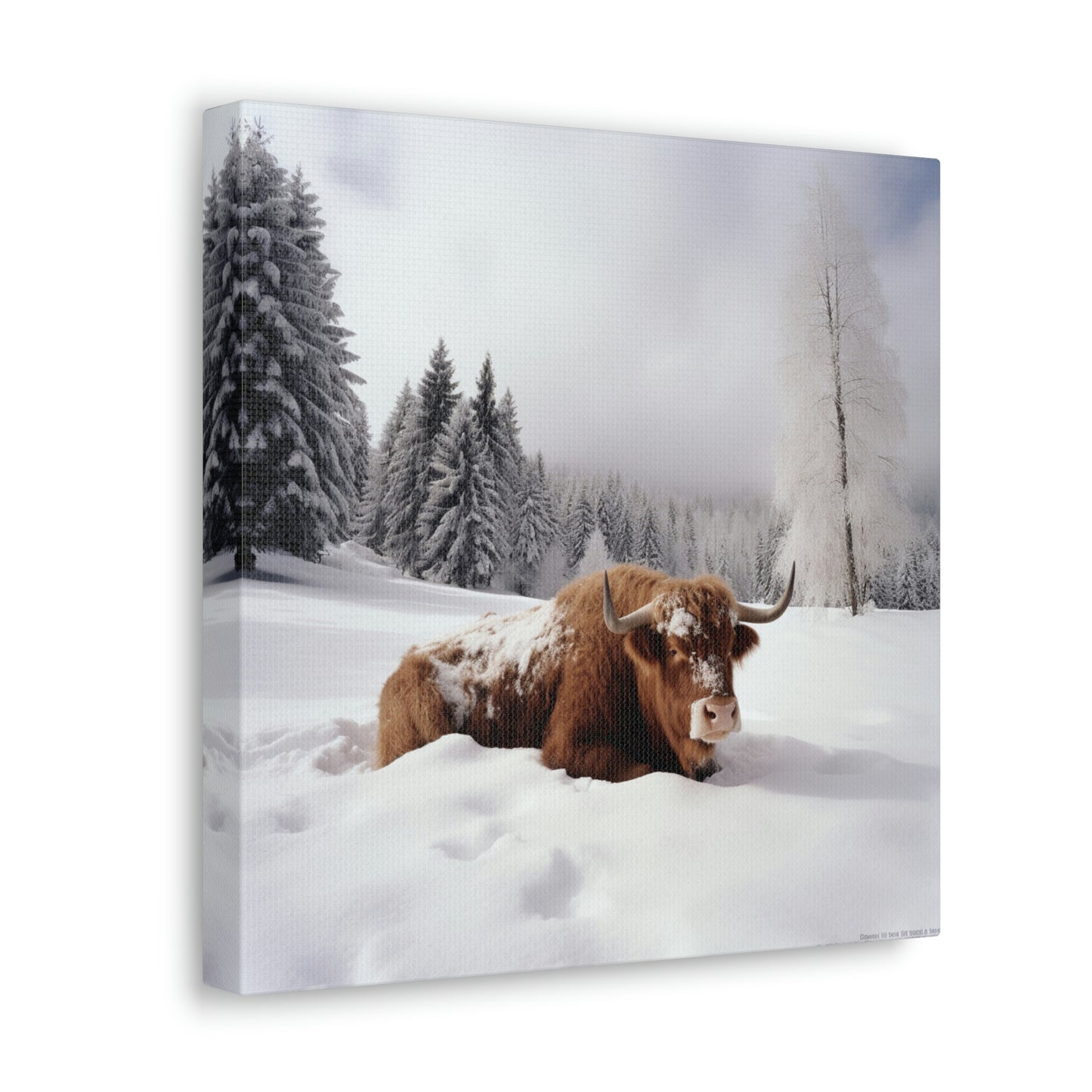 Canvas Gallery Wraps Cow Snow 2