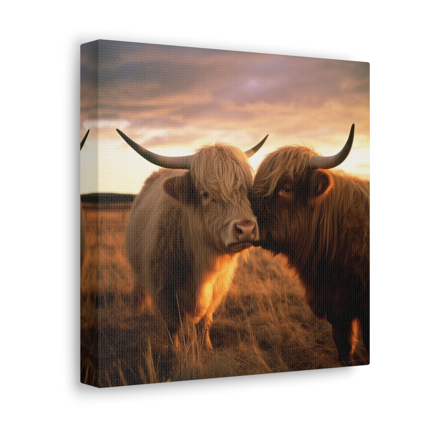 Canvas Gallery Wraps Cow Love 1