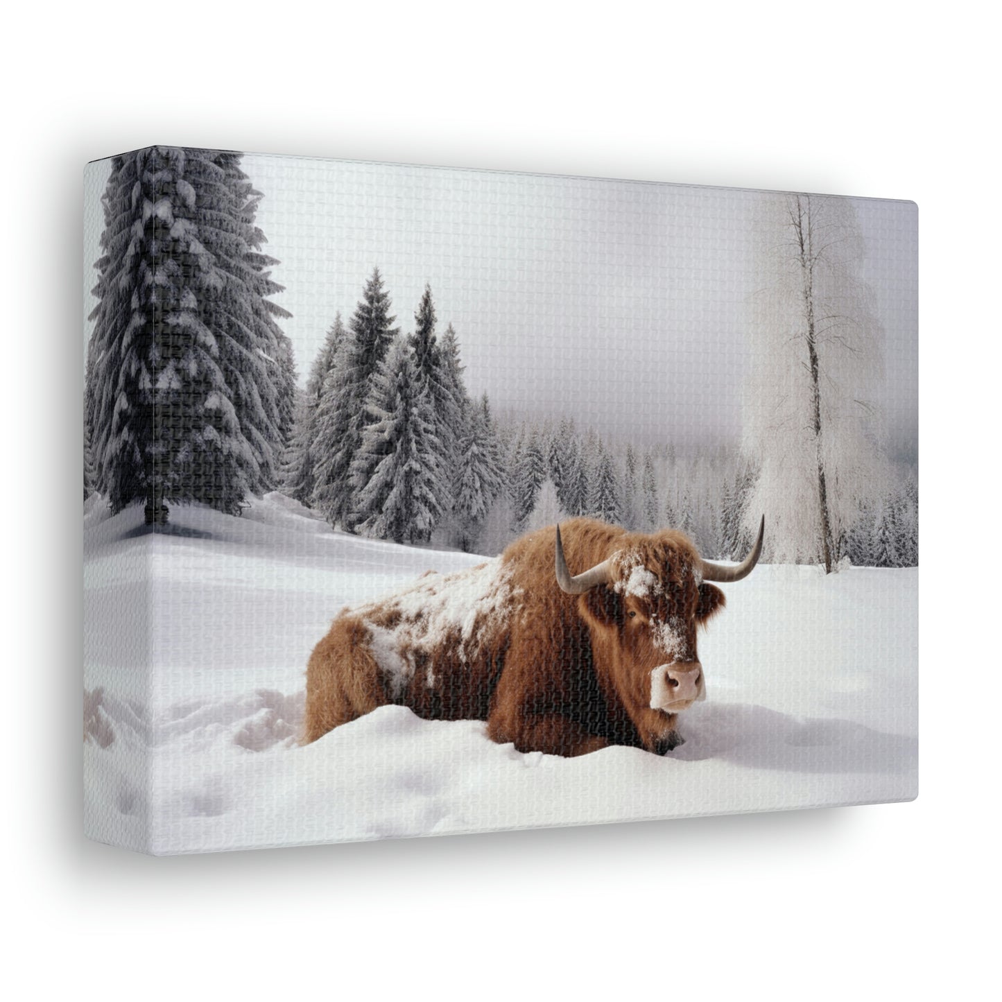 Canvas Gallery Wraps Cow Snow 2