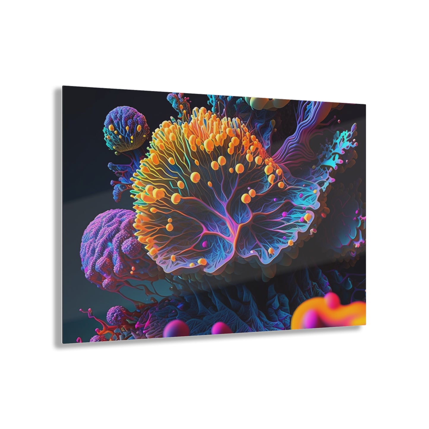 Acrylic Prints Ocean Life Macro 1