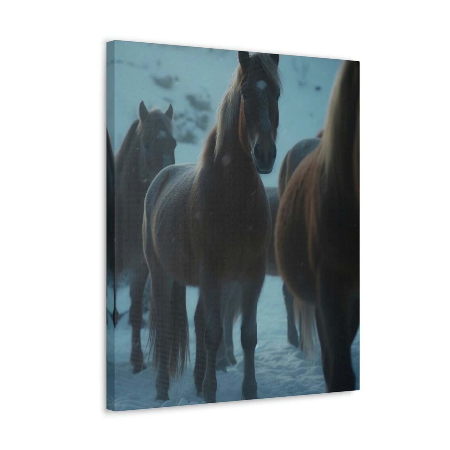 Canvas Gallery Wraps Wild Horse 2
